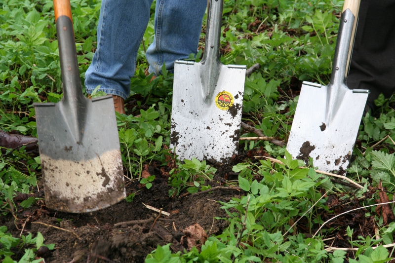 pepiniere-PUGET SUR ARGENS-min_work-lawn-flower-tool-green-backyard-1103633-pxhere.com